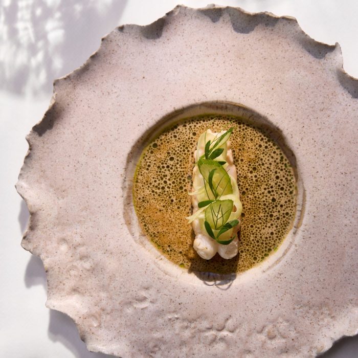 Latour Xperience – Ode aan de Noordzee